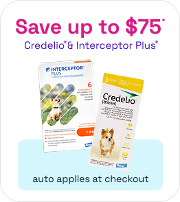 Credelio and Interceptor PLUS bundle