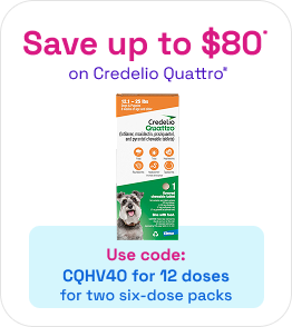 Credelio Quattro